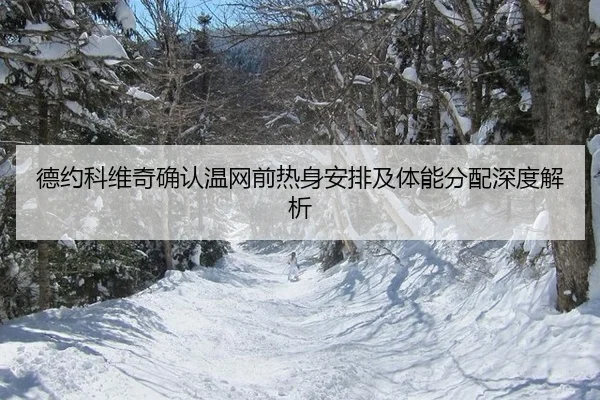de-yue-ke-wei-qi-que-ren-wen-wang-qian-re-shen-an-pai-ji-ti-neng-fen-pei-shen-du-jie-xi-2-303.jpg